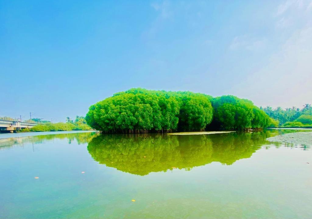 Green Island Homestay Riverside Calecute Exterior foto